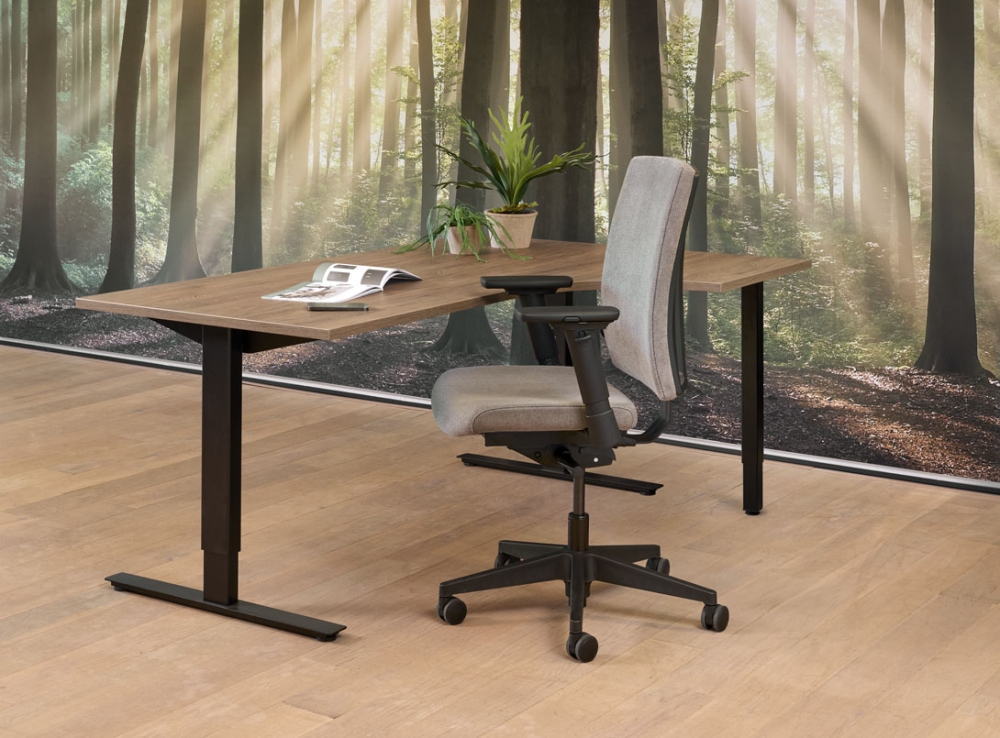 Wingbureau Teezz 160x120cm rechts - Image 2