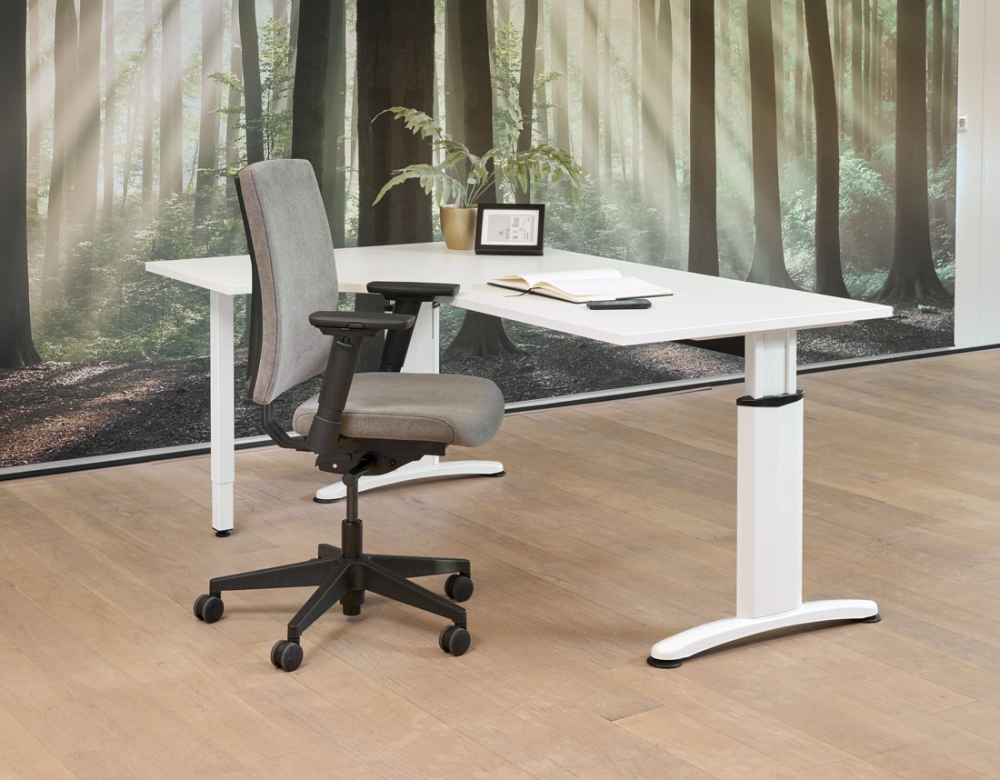 Wingbureau Work 160x120cm Links - Image 2